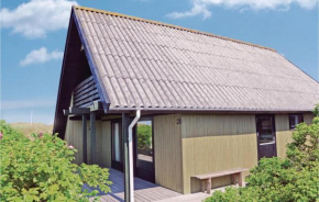 Amazing Home In Fanø With Wifi